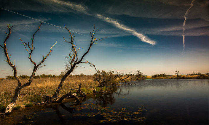 voyage Ile re paysage carole doussin photographe