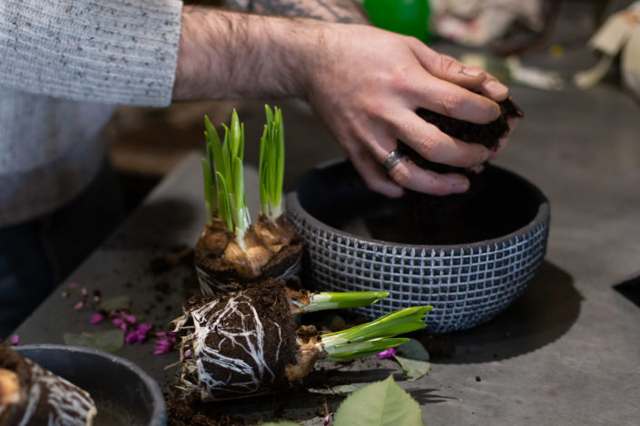 entreprise artisanat fleuriste carole doussin photographe